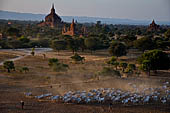 Bagan Myanmar. View from the terrace of Pyathada Temple. 